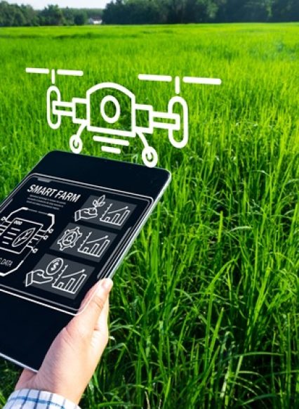 Farmer,Using,Tablet,Over,Rice,Feild,With,Drone,And,Smart